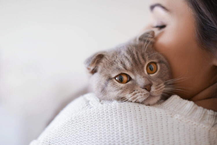 Kako nam mačke mogu pomoći u borbi sa stresom?